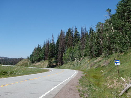 GDMBR: We headed south on CO-17 for Cumbres Pass.